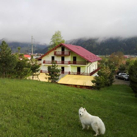 Grandemi Belvedere Bucovina Frasin 外观 照片