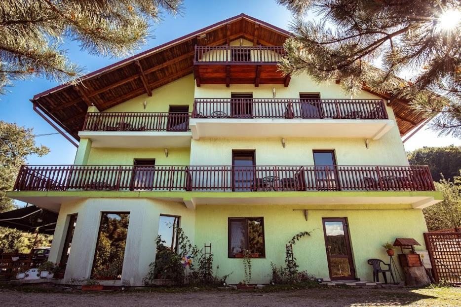Grandemi Belvedere Bucovina Frasin 外观 照片