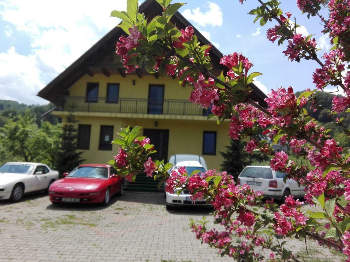 Grandemi Belvedere Bucovina Frasin 外观 照片