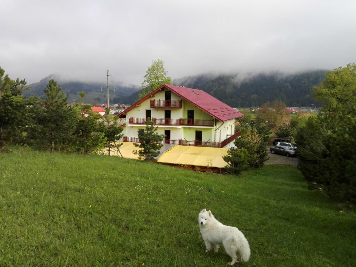 Grandemi Belvedere Bucovina Frasin 外观 照片