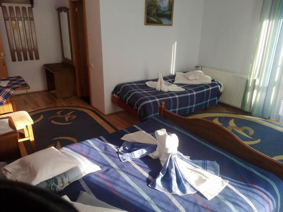 Grandemi Belvedere Bucovina Frasin 外观 照片